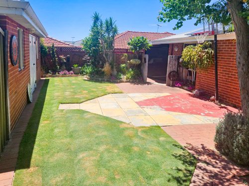 backyard garden established pool