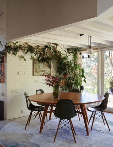 Boomhut, Balgowlah Heights