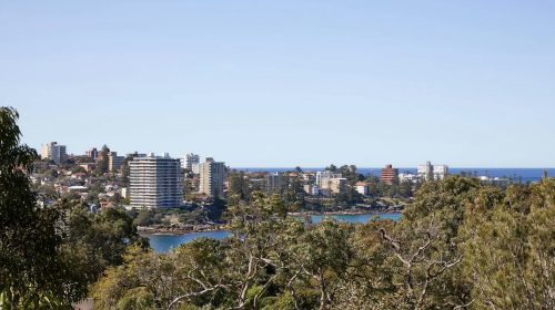 Boomhut, Balgowlah Heights