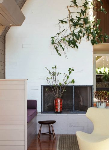 Boomhut, Balgowlah Heights