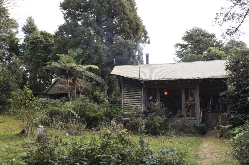 Rainforest Cabin, Robertson