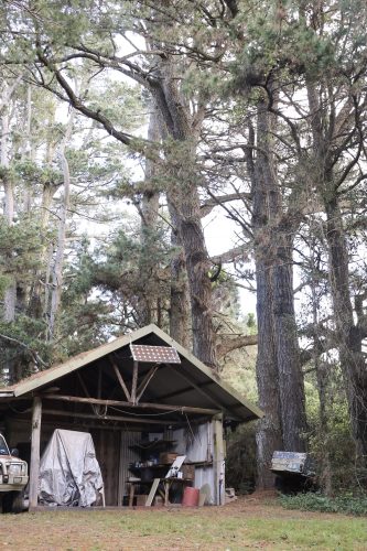 Rainforest Cabin, Robertson