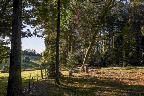 Rainforest Cabin, Robertson