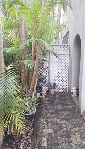 Silva, Balgowlah_3