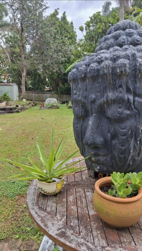 Silva, Balgowlah_5