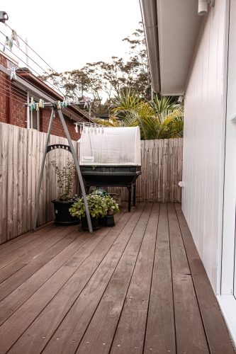 Suede, Allambie Heights_30
