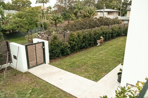 backyard