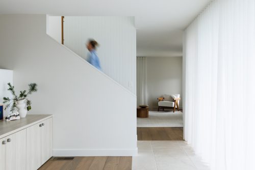 Suede, Allambie Heights_4