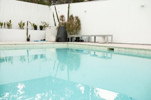 Suede, Allambie Heights_40