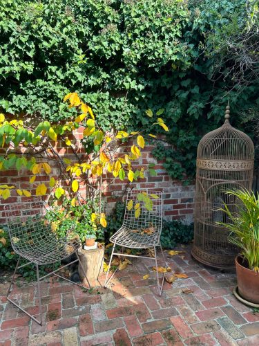 garden established