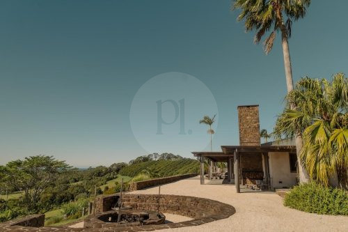 Damia, Byron Bay