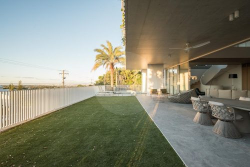 outdoor area backyard garden established