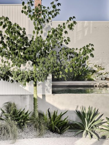 garden established