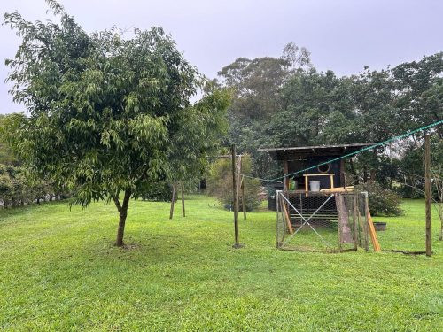 garden established