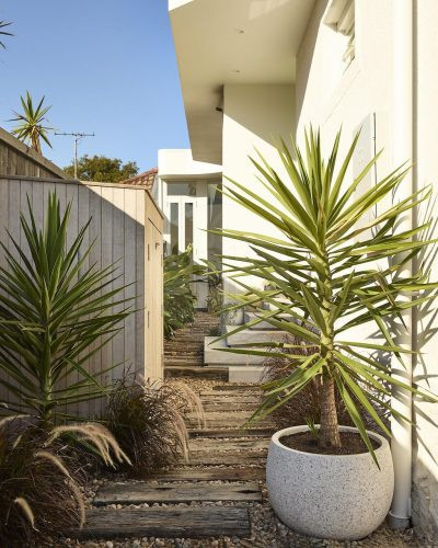 Vetiver, Bondi Beach-36