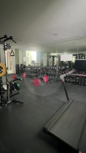 Argos, Strathfield - Gym _8601