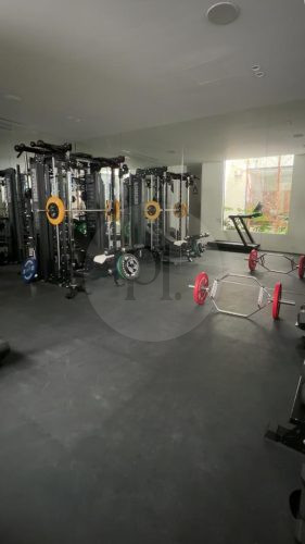 Argos, Strathfield - Gym _8602