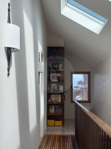 Cinnamon, Marrickville 0014