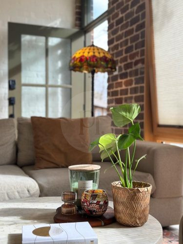 Cinnamon, Marrickville 27