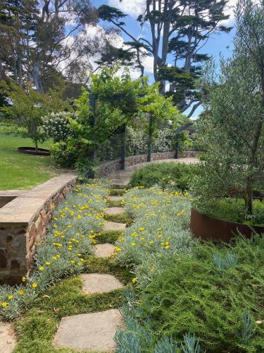 Detour, Dromana-19