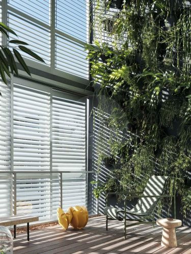 outdoor area facade backyard garden established