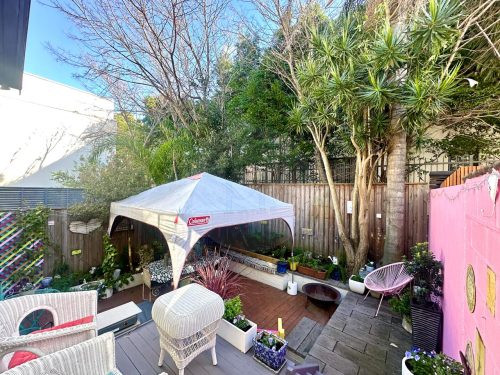 backyard garden established
