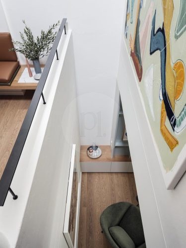 Quiet Colour, Paddington - 27