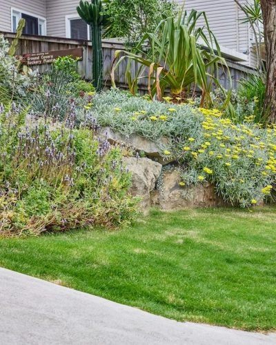 garden established