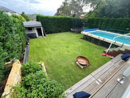 backyard garden established