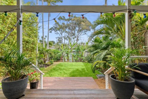 backyard