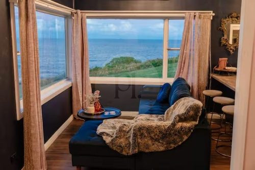 Coral Cactus, Merewether-32
