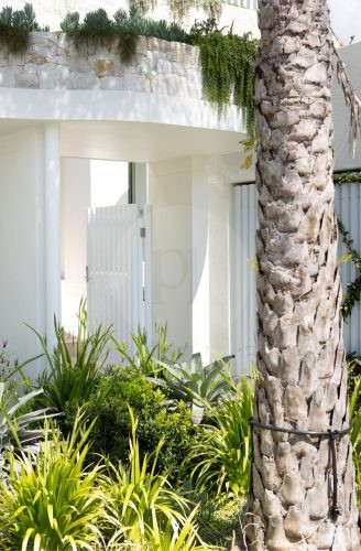Espirito, Palm Beach-01