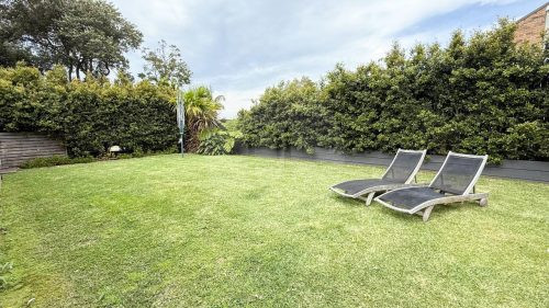 backyard garden established
