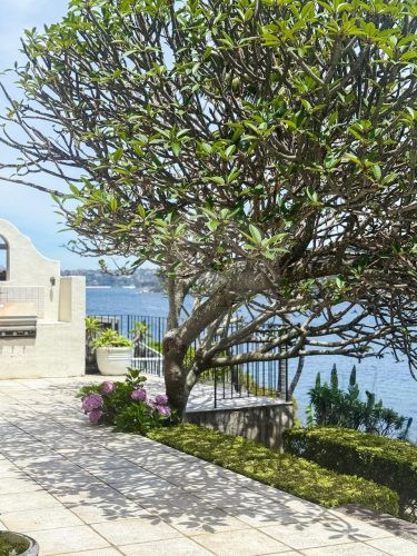 Madrid, Manly 53