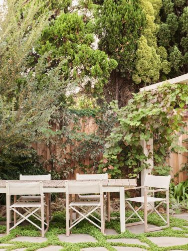 outdoor area garden established