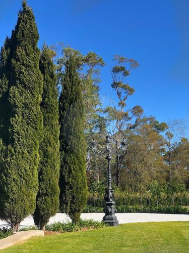 Chateau Blanca, Dural 52