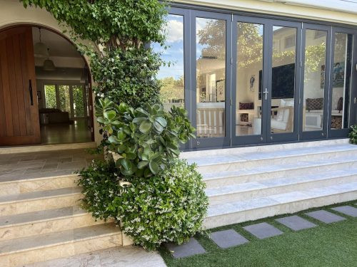 Iris House, Bellevue Hill 19