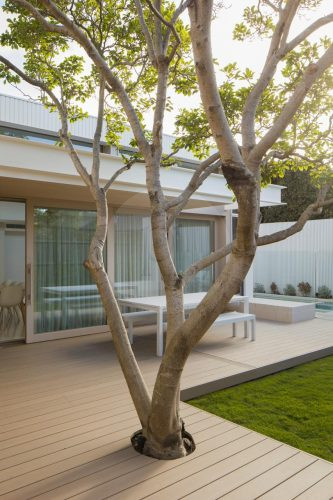 garden established
