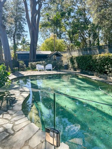 pool backyard garden established outdoor area