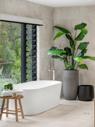 Silvergum, Tallebudgera-10