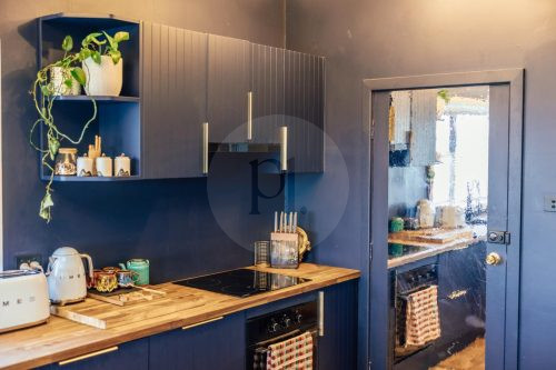 Coral Cactus, Merewether-11