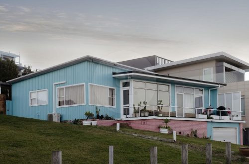 Coral Cactus, Merewether-30