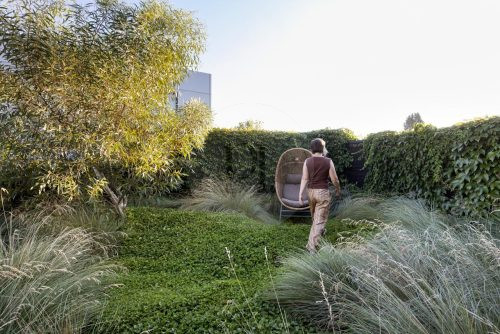 garden established