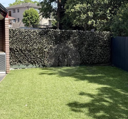 backyard garden established pool
