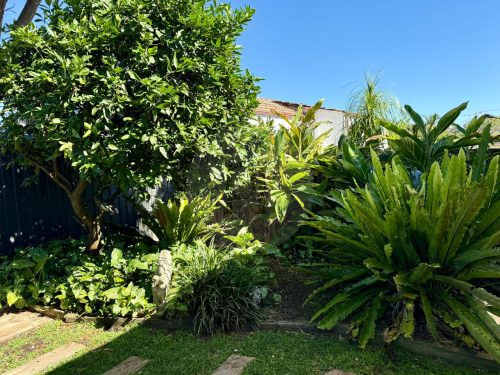 garden established