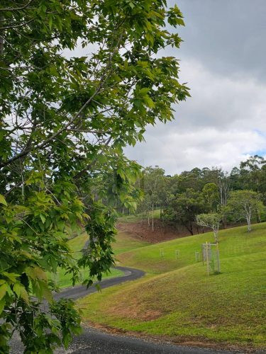 Aurelle, Kurrajong-11