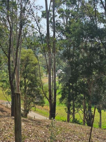 Aurelle, Kurrajong-25