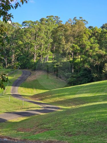 Aurelle, Kurrajong-31