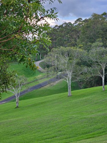 Aurelle, Kurrajong-40