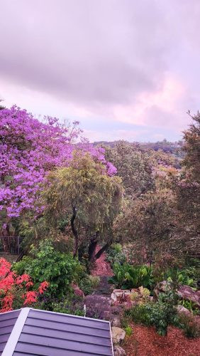 Ever Verdant, Bardwell Valley-10